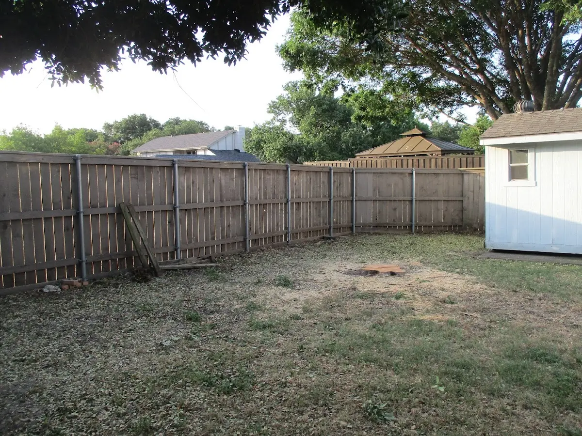 Cleared yard after professional tree removal in Cottageville